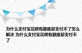 为什么支付宝花呗有额度却支付不了怎么解决 为什么支付宝花呗有额度却支付不了