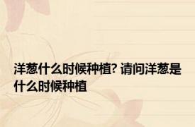 洋葱什么时候种植? 请问洋葱是什么时候种植