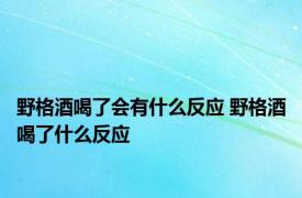 野格酒喝了会有什么反应 野格酒喝了什么反应