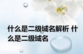 什么是二级域名解析 什么是二级域名