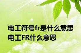 电工符号fr是什么意思 电工FR什么意思
