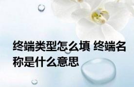 终端类型怎么填 终端名称是什么意思