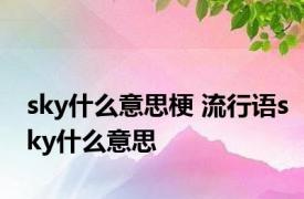 sky什么意思梗 流行语sky什么意思