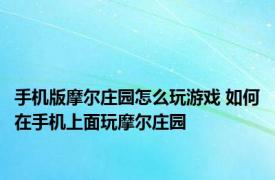 手机版摩尔庄园怎么玩游戏 如何在手机上面玩摩尔庄园