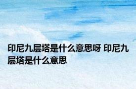 印尼九层塔是什么意思呀 印尼九层塔是什么意思