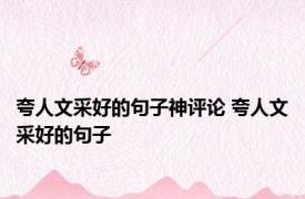夸人文采好的句子神评论 夸人文采好的句子