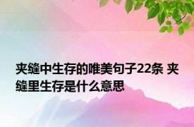 夹缝中生存的唯美句子22条 夹缝里生存是什么意思