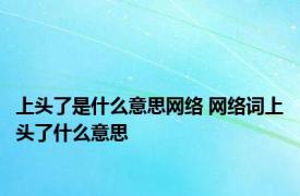 上头了是什么意思网络 网络词上头了什么意思