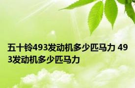 五十铃493发动机多少匹马力 493发动机多少匹马力