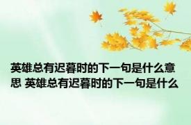 英雄总有迟暮时的下一句是什么意思 英雄总有迟暮时的下一句是什么