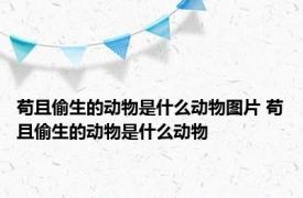 苟且偷生的动物是什么动物图片 苟且偷生的动物是什么动物