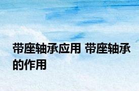 带座轴承应用 带座轴承的作用