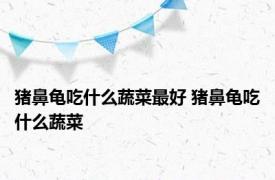 猪鼻龟吃什么蔬菜最好 猪鼻龟吃什么蔬菜