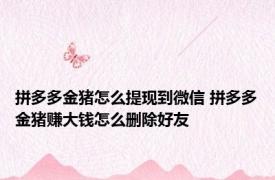 拼多多金猪怎么提现到微信 拼多多金猪赚大钱怎么删除好友