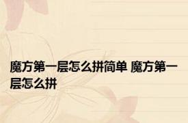 魔方第一层怎么拼简单 魔方第一层怎么拼