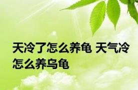 天冷了怎么养龟 天气冷怎么养乌龟