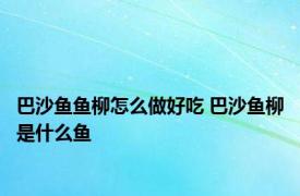 巴沙鱼鱼柳怎么做好吃 巴沙鱼柳是什么鱼