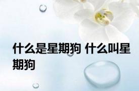 什么是星期狗 什么叫星期狗
