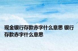 现金银行存款赤字什么意思 银行存款赤字什么意思