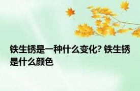 铁生锈是一种什么变化? 铁生锈是什么颜色