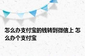 怎么办支付宝的钱转到微信上 怎么办个支付宝