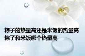 粽子的热量高还是米饭的热量高 粽子和米饭哪个热量高