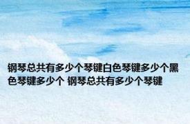 钢琴总共有多少个琴键白色琴键多少个黑色琴键多少个 钢琴总共有多少个琴键