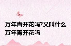 万年青开花吗?又叫什么 万年青开花吗