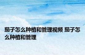茄子怎么种植和管理视频 茄子怎么种植和管理