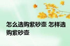 怎么选购紫砂壶 怎样选购紫砂壶