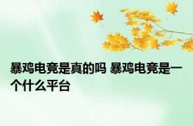 暴鸡电竞是真的吗 暴鸡电竞是一个什么平台