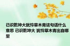 已识乾坤大犹怜草木青这句话什么意思 已识乾坤大 犹怜草木青出自哪里