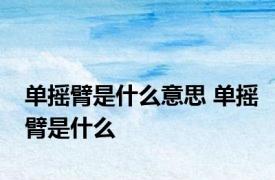 单摇臂是什么意思 单摇臂是什么