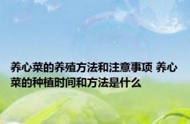 养心菜的养殖方法和注意事项 养心菜的种植时间和方法是什么