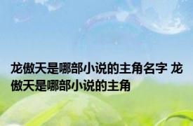 龙傲天是哪部小说的主角名字 龙傲天是哪部小说的主角