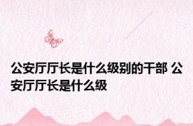 公安厅厅长是什么级别的干部 公安厅厅长是什么级