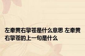 左牵黄右擎苍是什么意思 左牵黄右擎苍的上一句是什么