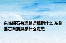 东临碣石有遗篇遗篇指什么 东临碣石有遗篇是什么意思