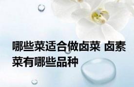 哪些菜适合做卤菜 卤素菜有哪些品种