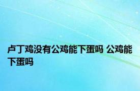 卢丁鸡没有公鸡能下蛋吗 公鸡能下蛋吗