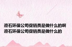 遵石环保公司促销员是做什么的啊 遵石环保公司促销员是做什么的