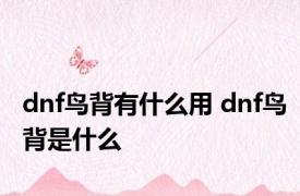 dnf鸟背有什么用 dnf鸟背是什么