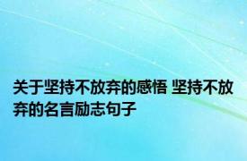 关于坚持不放弃的感悟 坚持不放弃的名言励志句子