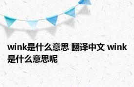 wink是什么意思 翻译中文 wink是什么意思呢