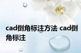 cad倒角标注方法 cad倒角标注