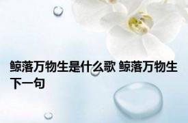 鲸落万物生是什么歌 鲸落万物生下一句