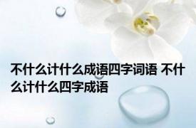 不什么计什么成语四字词语 不什么计什么四字成语