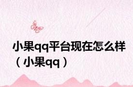 小果qq平台现在怎么样（小果qq）
