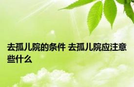 去孤儿院的条件 去孤儿院应注意些什么