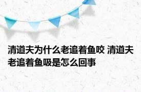 清道夫为什么老追着鱼咬 清道夫老追着鱼吸是怎么回事